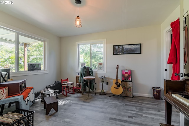 living area with plenty of natural light and hardwood / wood-style flooring