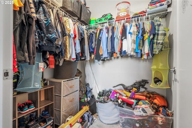 view of walk in closet