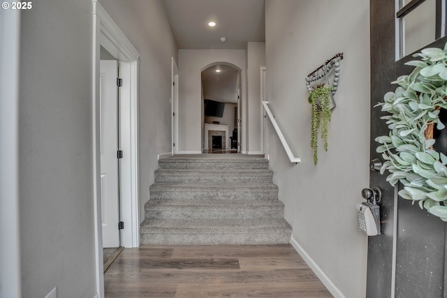 staircase featuring wood-type flooring