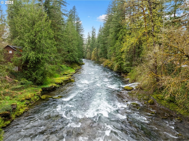 18308 NE Cole Witter Rd, Battle Ground, WA 98604 - water view with a forest