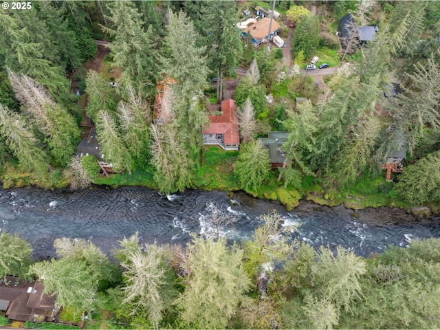 18308 NE Cole Witter Rd, Battle Ground, WA 98604 - bird's eye view