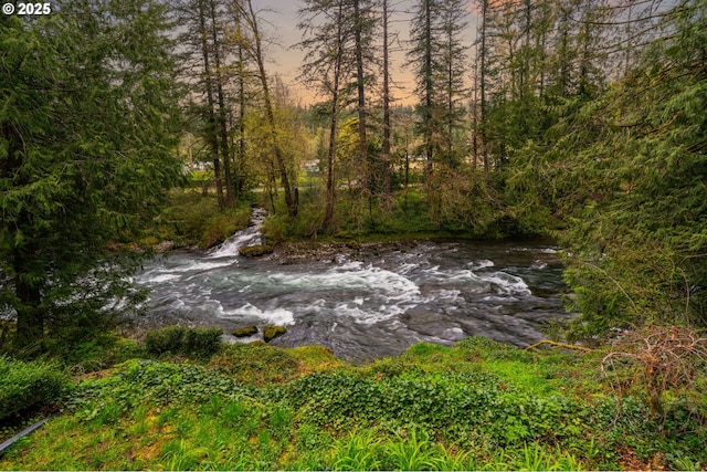 18308 NE Cole Witter Rd, Battle Ground, WA 98604 - view of nature at dusk