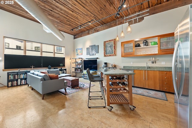 living area featuring track lighting and a towering ceiling