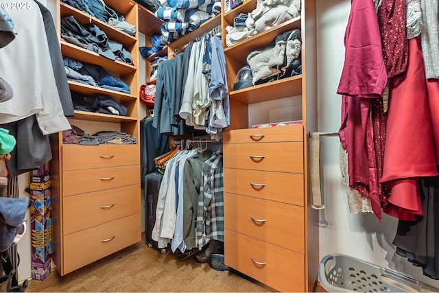 view of spacious closet