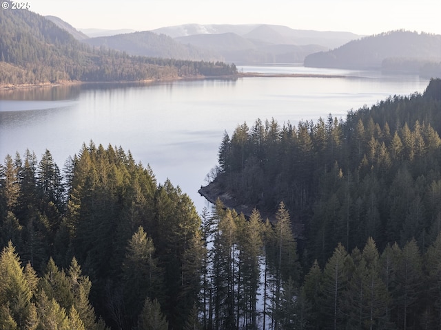 property view of water with a mountain view and a wooded view