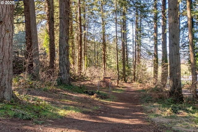 13135 SE Winston Rd, Damascus, OR 97089 - view of local wilderness with a wooded view