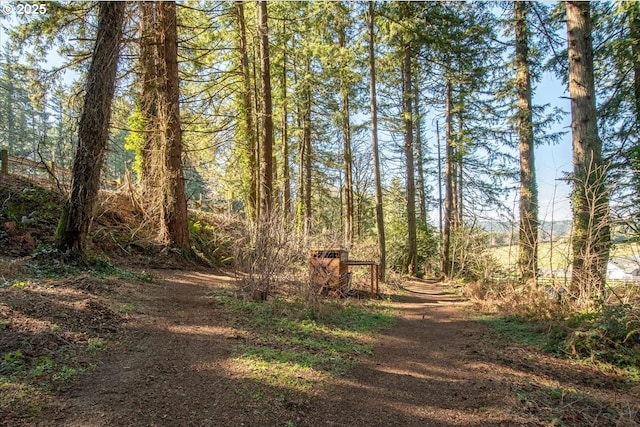 13135 SE Winston Rd, Damascus, OR 97089 - view of street