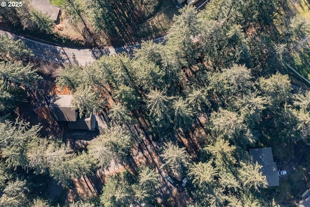 13135 SE Winston Rd, Damascus, OR 97089 - bird's eye view