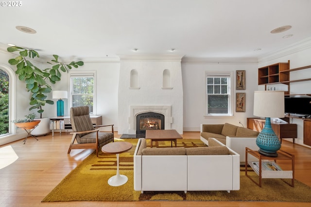 living area featuring a fireplace with flush hearth, ornamental molding, and wood finished floors