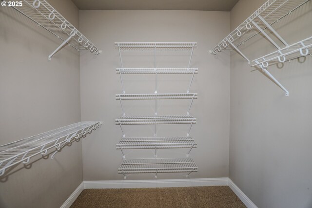 1680 NW Avery St, Roseburg, OR 97471 - walk in closet featuring carpet floors