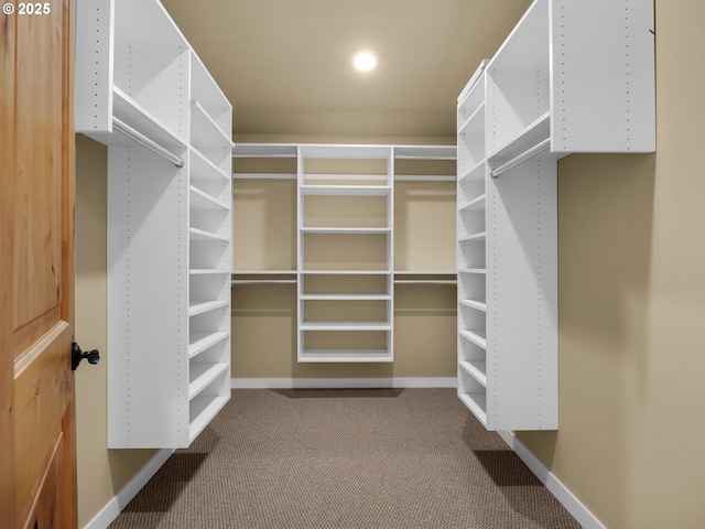 spacious closet with carpet flooring