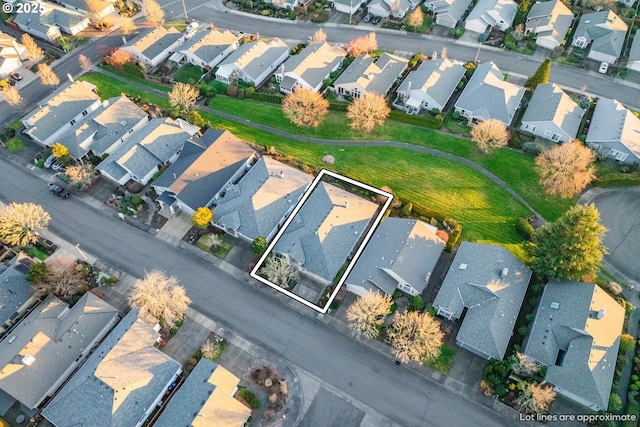 bird's eye view