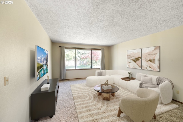 carpeted living area featuring a textured ceiling