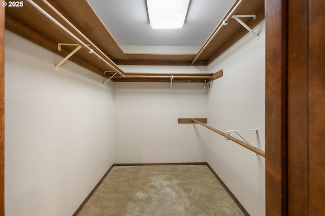 walk in closet featuring carpet floors
