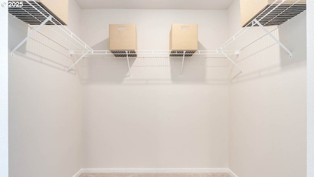 view of walk in closet