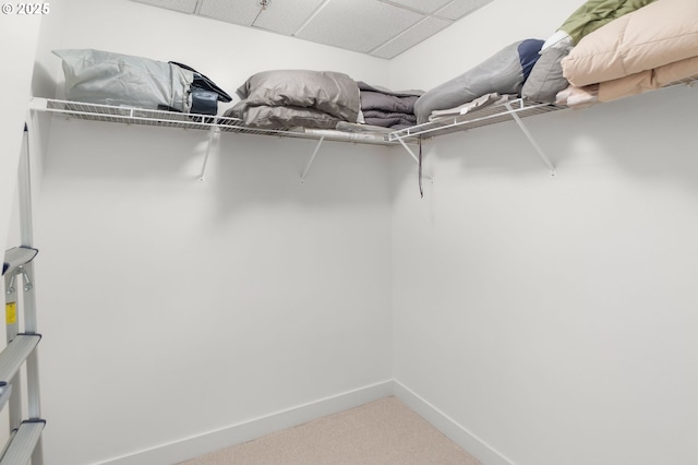 922 NW 11th Ave Unit 209, Portland, OR 97209 - spacious closet with carpet floors and a drop ceiling