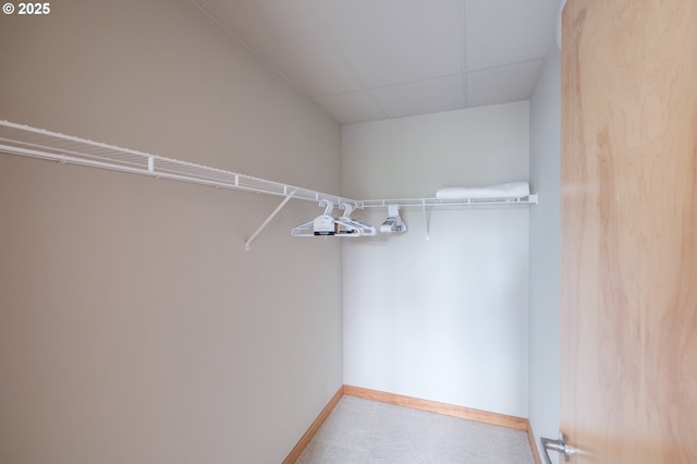1255 NW 9th Ave Unit 508, Portland, OR 97209 - spacious closet featuring carpet floors and a paneled ceiling