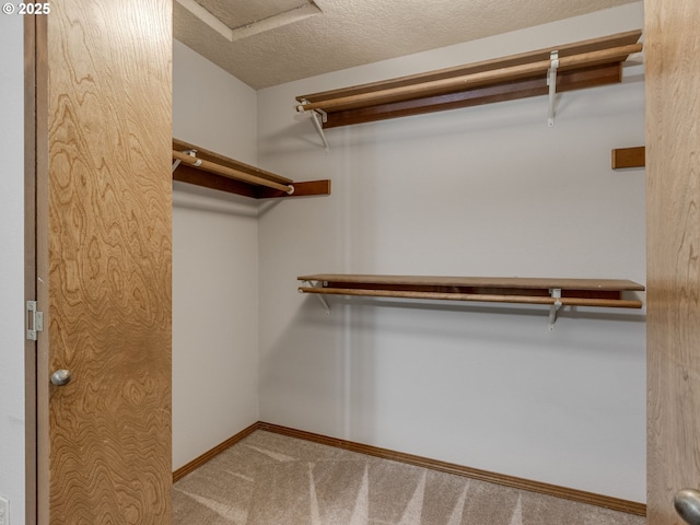 spacious closet with carpet