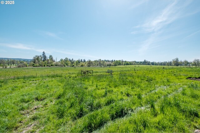 38588 Goar Rd, Scio, OR 97374 - view of nature with rural landscape