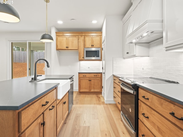 kitchen featuring premium range hood, light wood-style flooring, a sink, tasteful backsplash, and stainless steel appliances