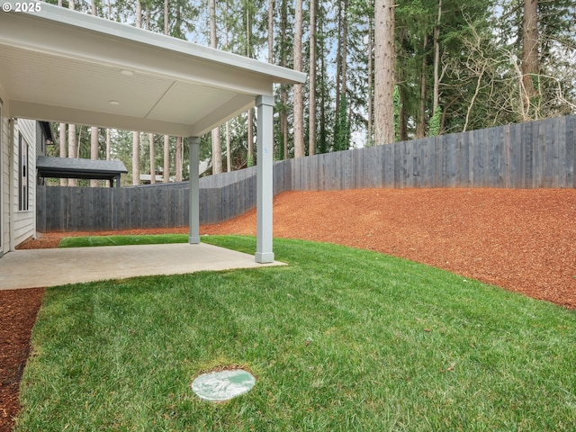 view of yard featuring a fenced backyard and a patio area
