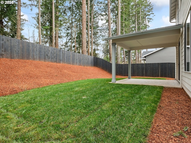 view of yard featuring a patio and a fenced backyard