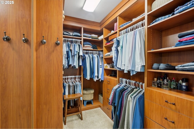 walk in closet with carpet floors