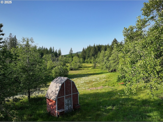 1641 Mabee Mines Rd Unit 4, Washougal, WA 98671 - view of grassy yard with a storage shed and a wooded view