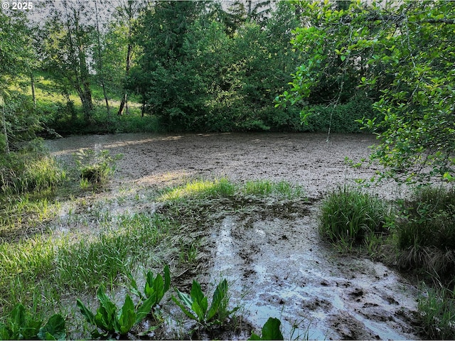 1641 Mabee Mines Rd Unit 4, Washougal, WA 98671 - view of yard
