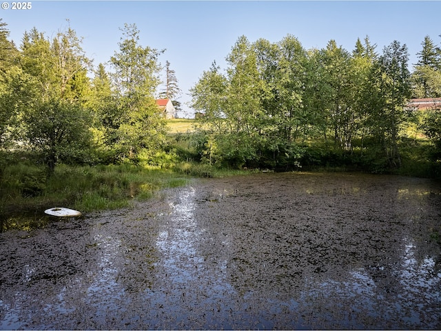 1641 Mabee Mines Rd Unit 4, Washougal, WA 98671 - water view