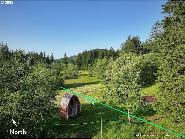 1641 Mabee Mines Rd Unit 4, Washougal, WA 98671 - view of yard