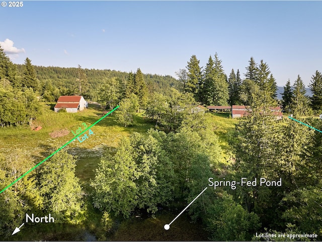 1641 Mabee Mines Rd Unit 4, Washougal, WA 98671 - aerial view of property and surrounding area with a heavily wooded area and property boundaries highlighted