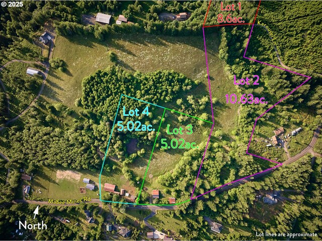 1641 Mabee Mines Rd Unit 4, Washougal, WA 98671 - view of property location with property boundaries highlighted