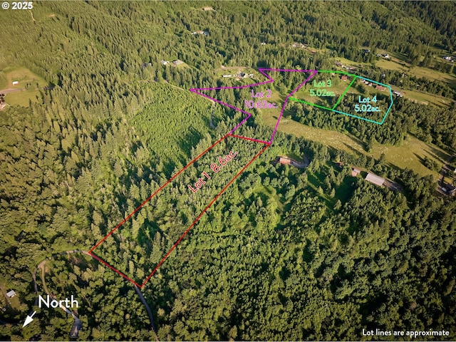 1641 Mabee Mines Rd Unit 4, Washougal, WA 98671 - aerial overview of property's location with a heavily wooded area and property parcel outlined