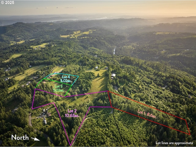 1641 Mabee Mines Rd Unit 4, Washougal, WA 98671 - view of property location featuring a heavily wooded area and property boundaries highlighted
