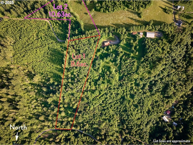 1641 Mabee Mines Rd Unit 4, Washougal, WA 98671 - aerial view of property and surrounding area featuring property boundaries highlighted