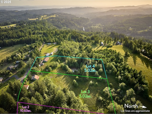 1641 Mabee Mines Rd Unit 4, Washougal, WA 98671 - bird's eye view of a forest and a mountainous background