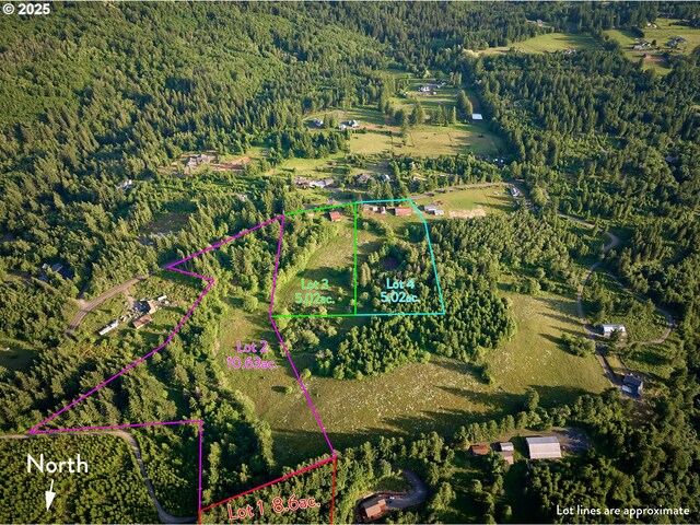 1641 Mabee Mines Rd Unit 4, Washougal, WA 98671 - aerial view of property and surrounding area featuring property parcel outlined