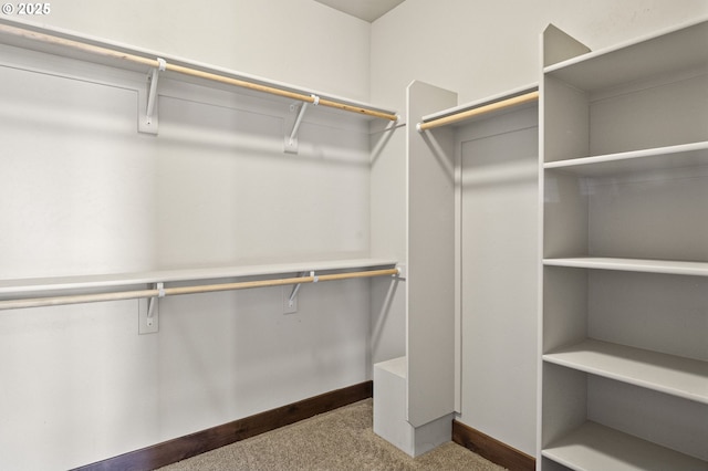 spacious closet with carpet flooring