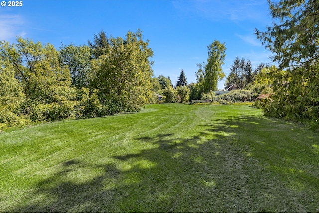 view of grassy yard
