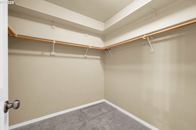 4908 Holly St, Springfield, OR 97478 - walk in closet featuring carpet flooring