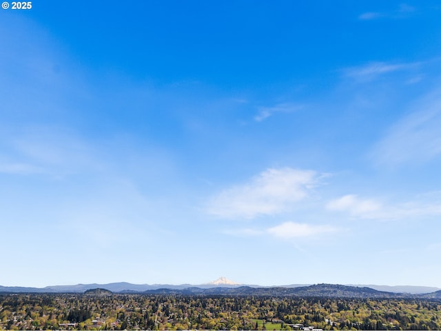 5170 SE 28th Ave, Portland, OR 97202 - property view of mountains