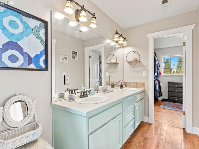 bathroom with vanity and wood-type flooring