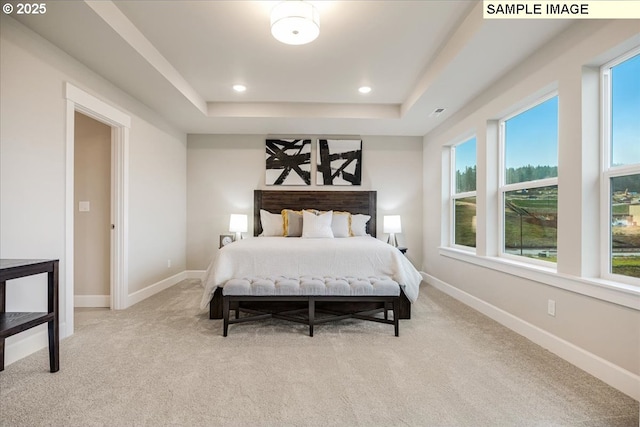 bedroom with a raised ceiling and light carpet