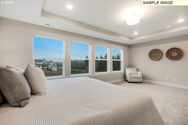 bedroom featuring a raised ceiling and light colored carpet