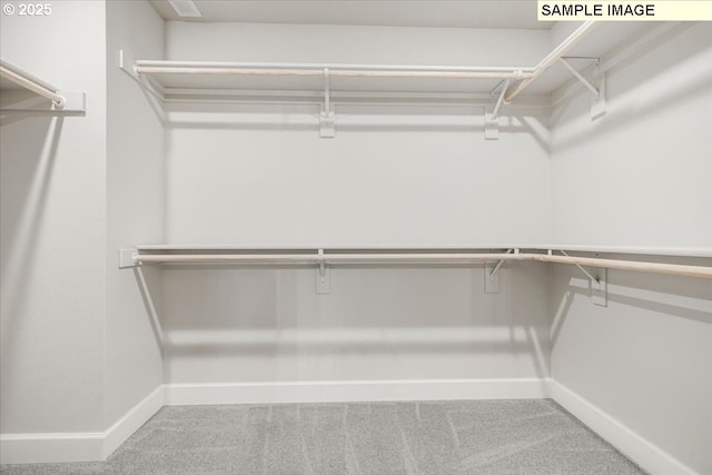 spacious closet with carpet