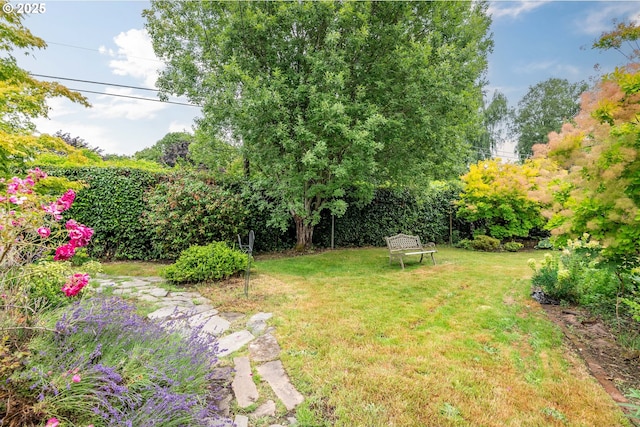 1702 24th Ave, Longview, WA 98632 - view of grassy yard