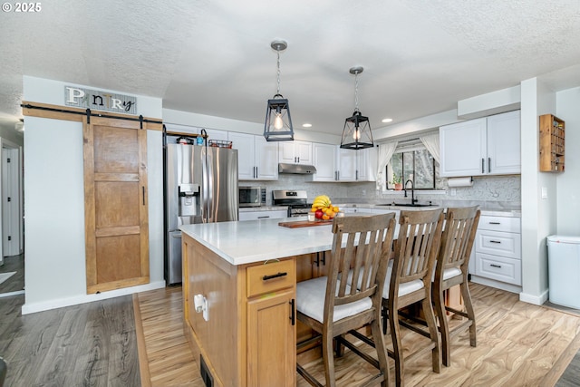 kitchen with light wood finished floors, under cabinet range hood, a barn door, stainless steel appliances, and a sink