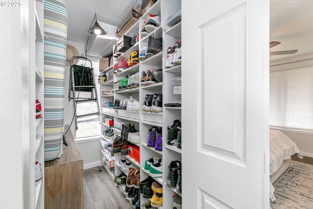 walk in closet featuring wood finished floors