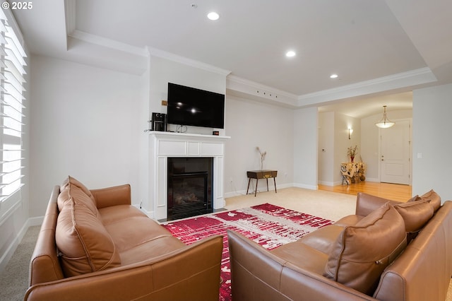 living room featuring crown molding and a raised ceiling